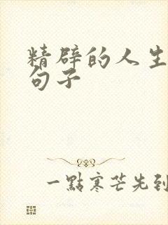 精辟的人生哲理句子