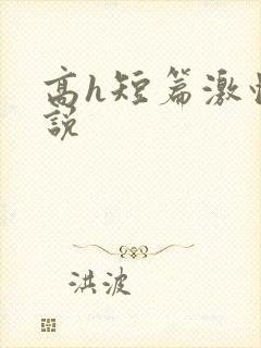 高h短篇激情小说