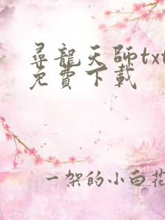 寻龙天师txt免费下载