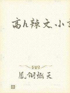 高h辣文小说网
