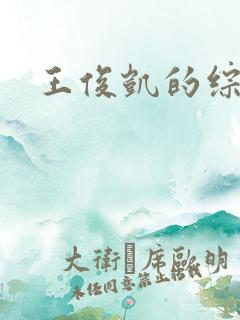 王俊凯的综艺