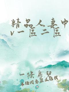 精品人妻中文av一区二区