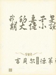 我的妻子是大乘期大佬小说完整版大结局