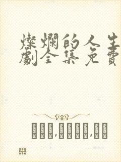 灿烂的人生电视剧全集免费观看