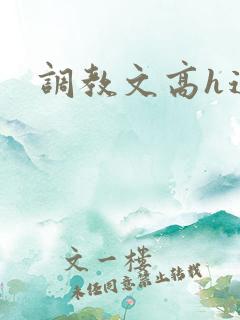 调教文高h道具