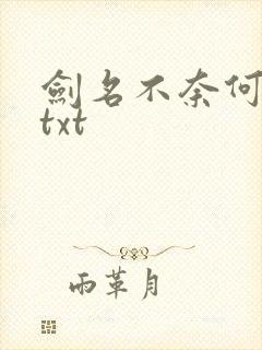 剑名不奈何淮上txt
