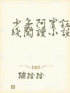 少年阿宾钰慧在线阅读小说