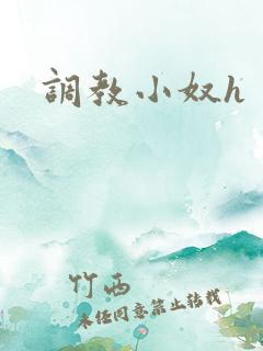调教小奴h
