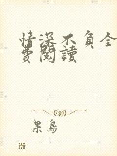 情深不负全本免费阅读