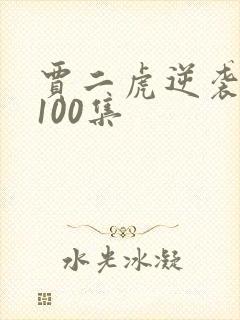贾二虎逆袭人生100集