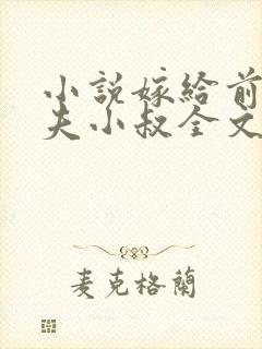 小说嫁给前未婚夫小叔全文阅读