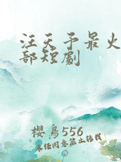 汪天予最火二十部短剧