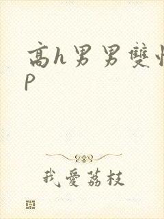 高h男男双性np