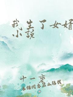 我生了女婿孩子小说