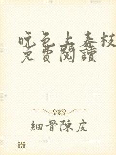 晚色上春枝小说免费阅读