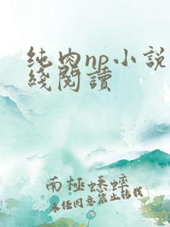 纯肉np小说在线阅读