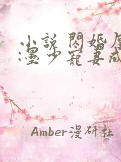 小说 闪婚厚爱:墨少宠妻成瘾