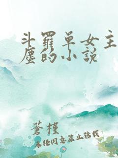 斗罗单女主梦红尘的小说