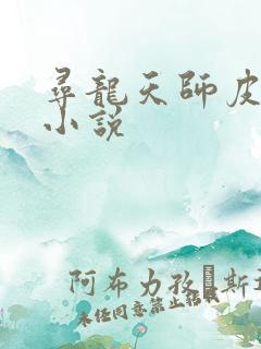 寻龙天师皮剑青小说