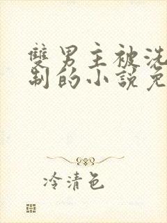 双男主被洗脑控制的小说免费阅读