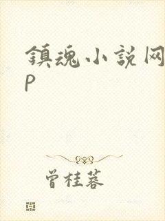 镇魂小说网app