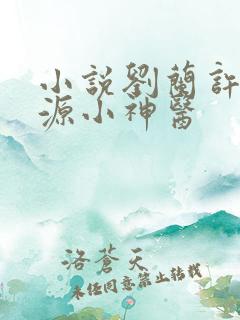 小说刘兰许凡桃源小神医