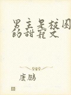 男主是校园大佬的甜宠文