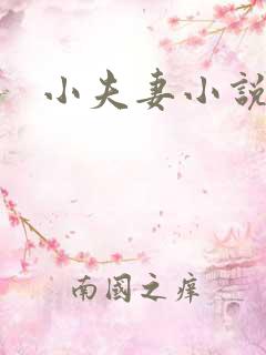 小夫妻小说