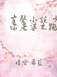 有声小说 少帅你老婆又跑了