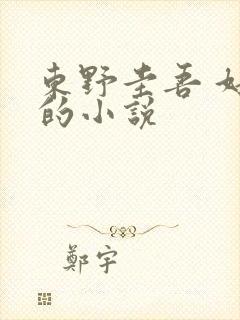 东野圭吾 好看的小说
