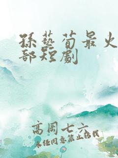 孙艺荀最火的十部短剧