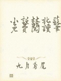 小说林北苏婉儿免费阅读笔趣阁