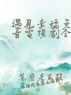 遇见幸福免费观看电视剧全集