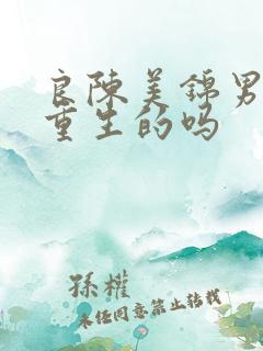 良陈美锦男主是重生的吗