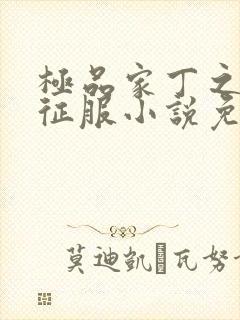 极品家丁之初八征服小说免费阅读