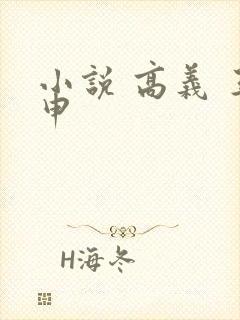 小说 高义 王申