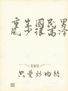 重生国民男神:风少很高冷