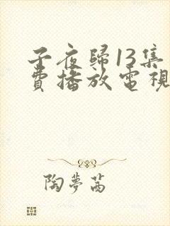 子夜归13集免费播放电视剧