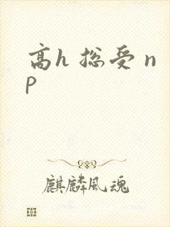 高h 总受 np
