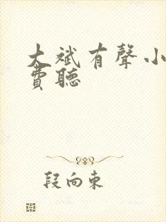 大斌有声小说免费听