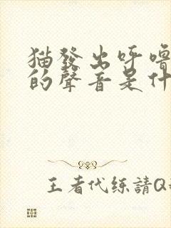 猫发出呼噜呼噜的声音是什么意思