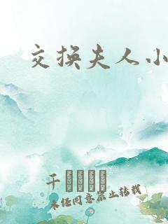交换夫人小说