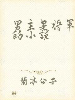 男主是将军姓萧的小说
