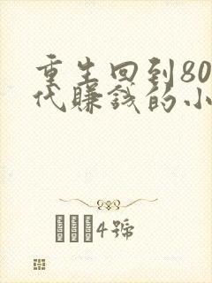 重生回到80年代赚钱的小说
