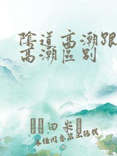 阴道高潮跟阴蒂高潮区别