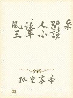 风流人间采薇陆三平小说