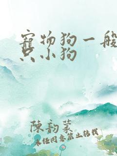 宠物狗一般生几只小狗