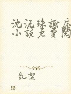 沈沅珠谢序川的小说免费阅读全文