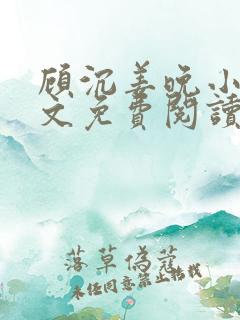 顾沉姜晚小说全文免费阅读