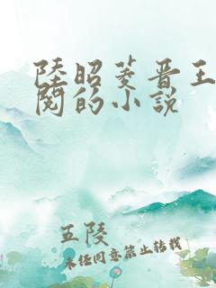 陆昭菱晋王周时阅的小说
